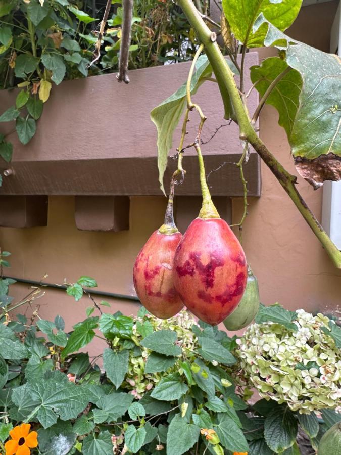 לינה וארוחת בוקר קיטו Campus Residencias מראה חיצוני תמונה